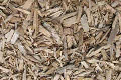 biomass boilers Anthill Common