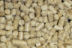 Anthill Common biomass boiler costs